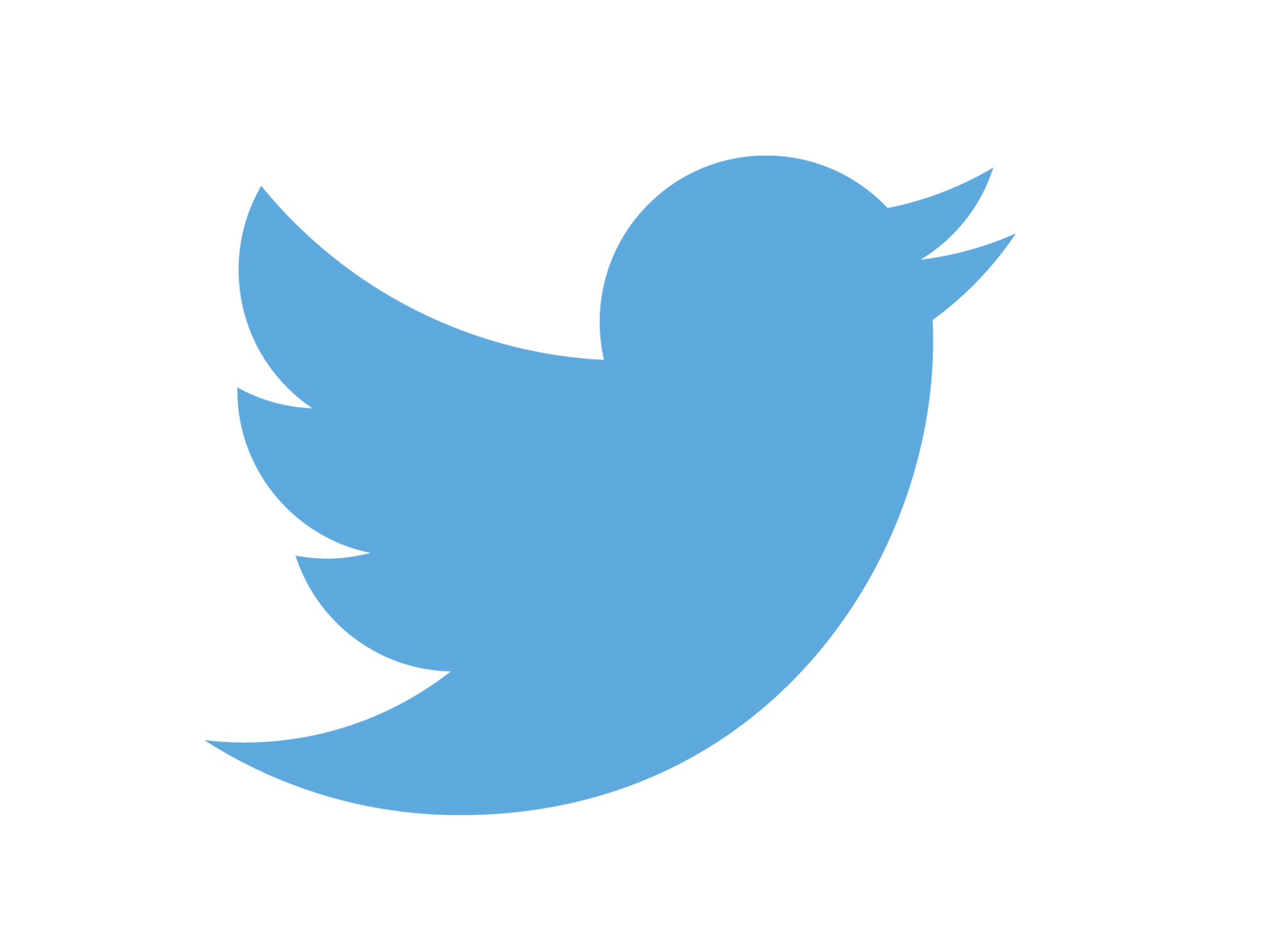 Twitter Flat 2D Logo